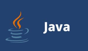 Interesting Facts About Java Programming Language - Cyber Sucess