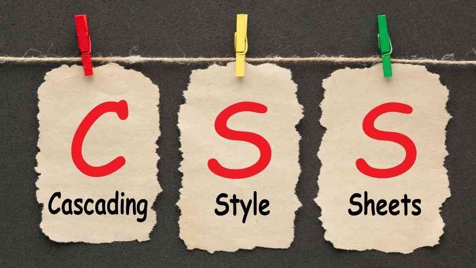 Understanding The Importance of CSS In Web Development