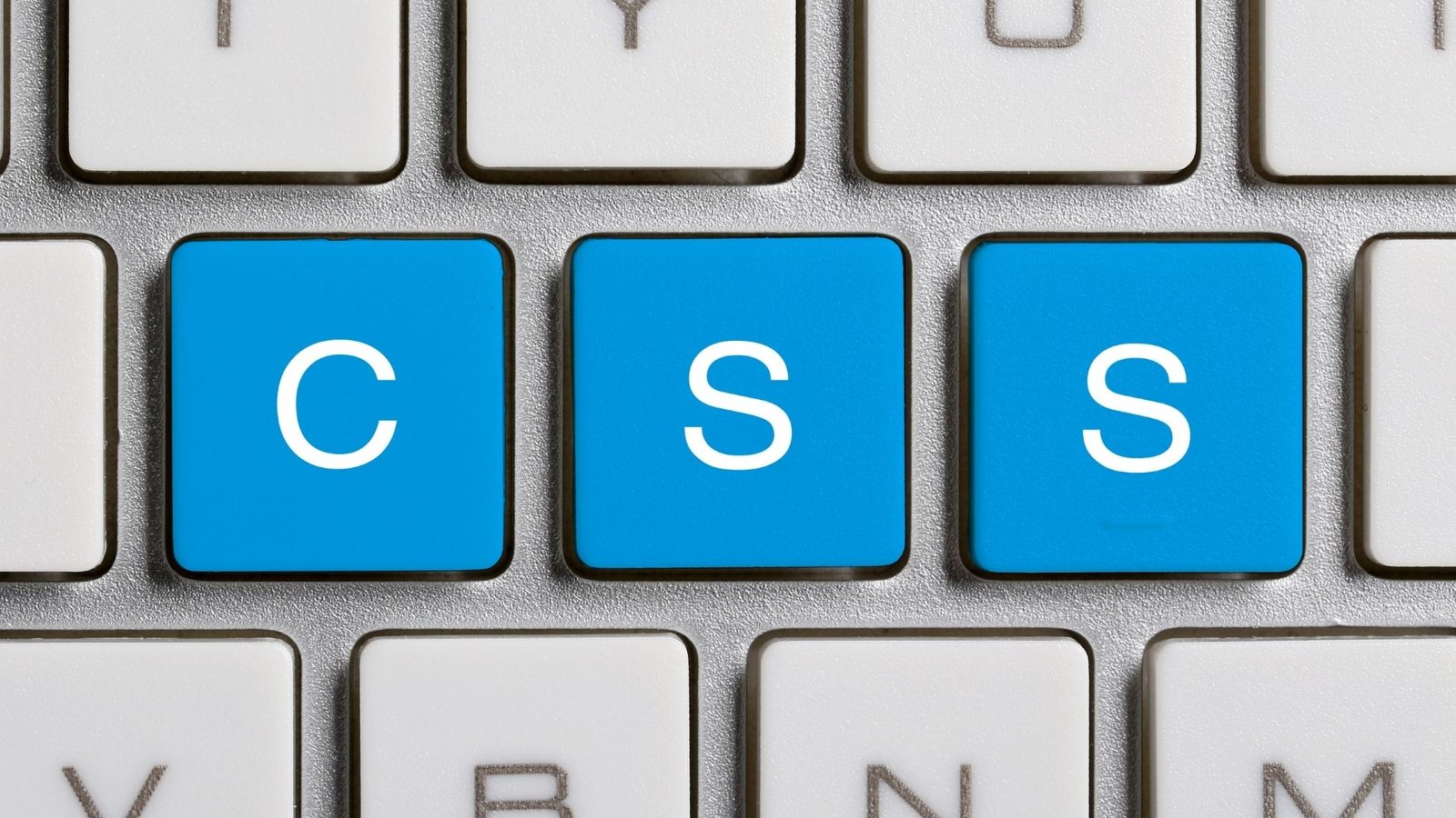 Difference Between CSS and CSS3 Cyber Success