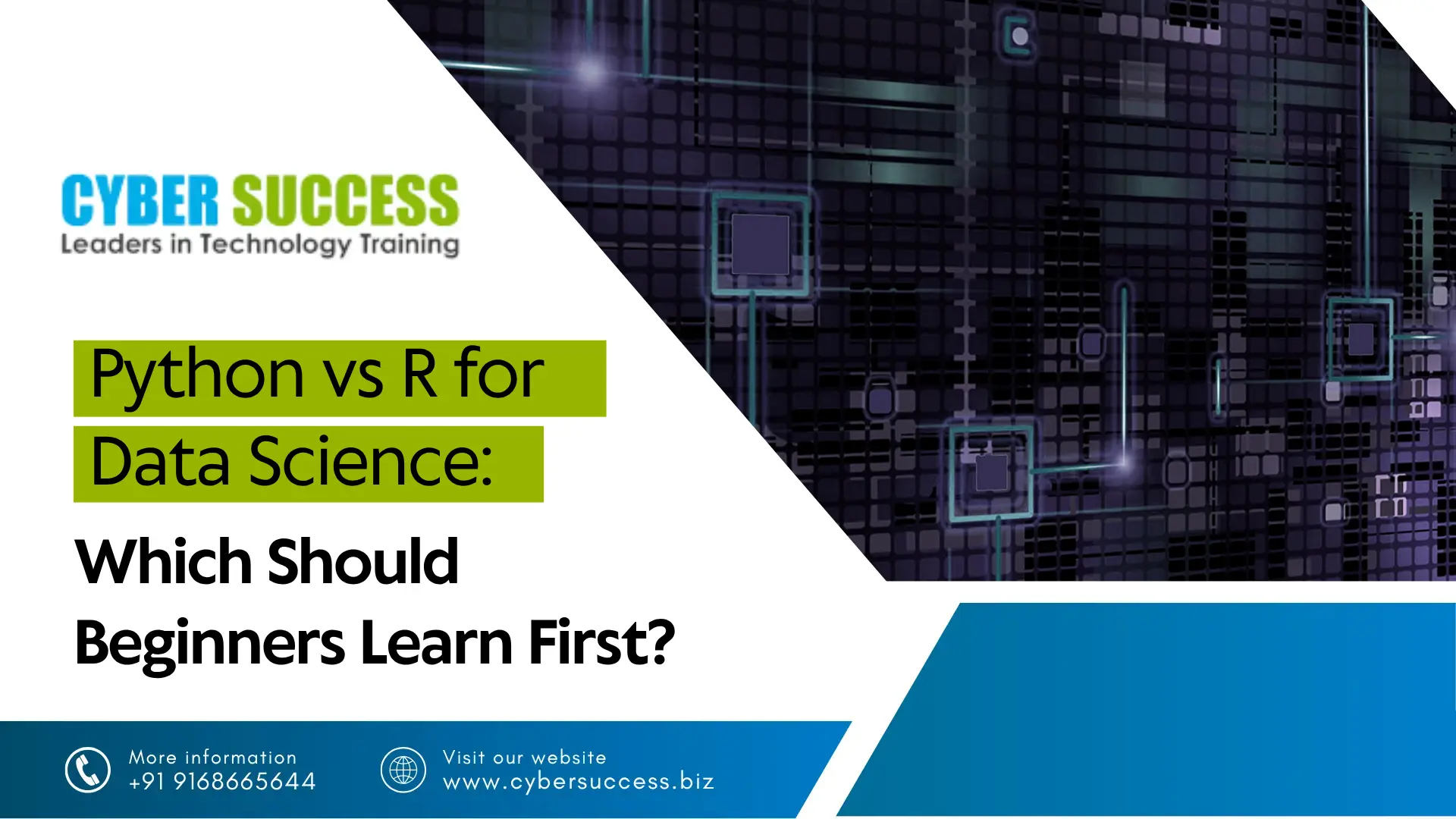 Python vs R for Data Science